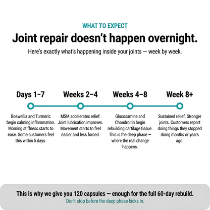 Bentrov Joint Support — Advanced Formula