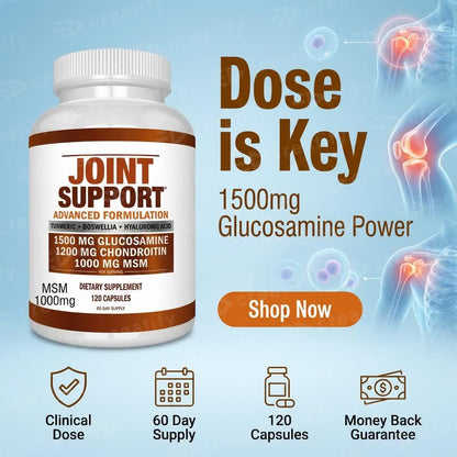 Bentrov Joint Support — Advanced Formula