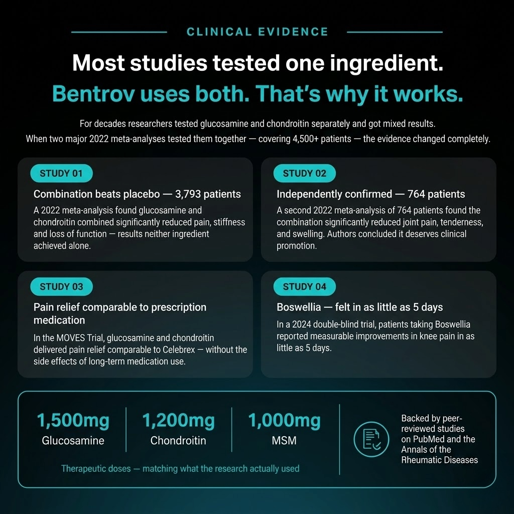 Bentrov Joint Support — Advanced Formula